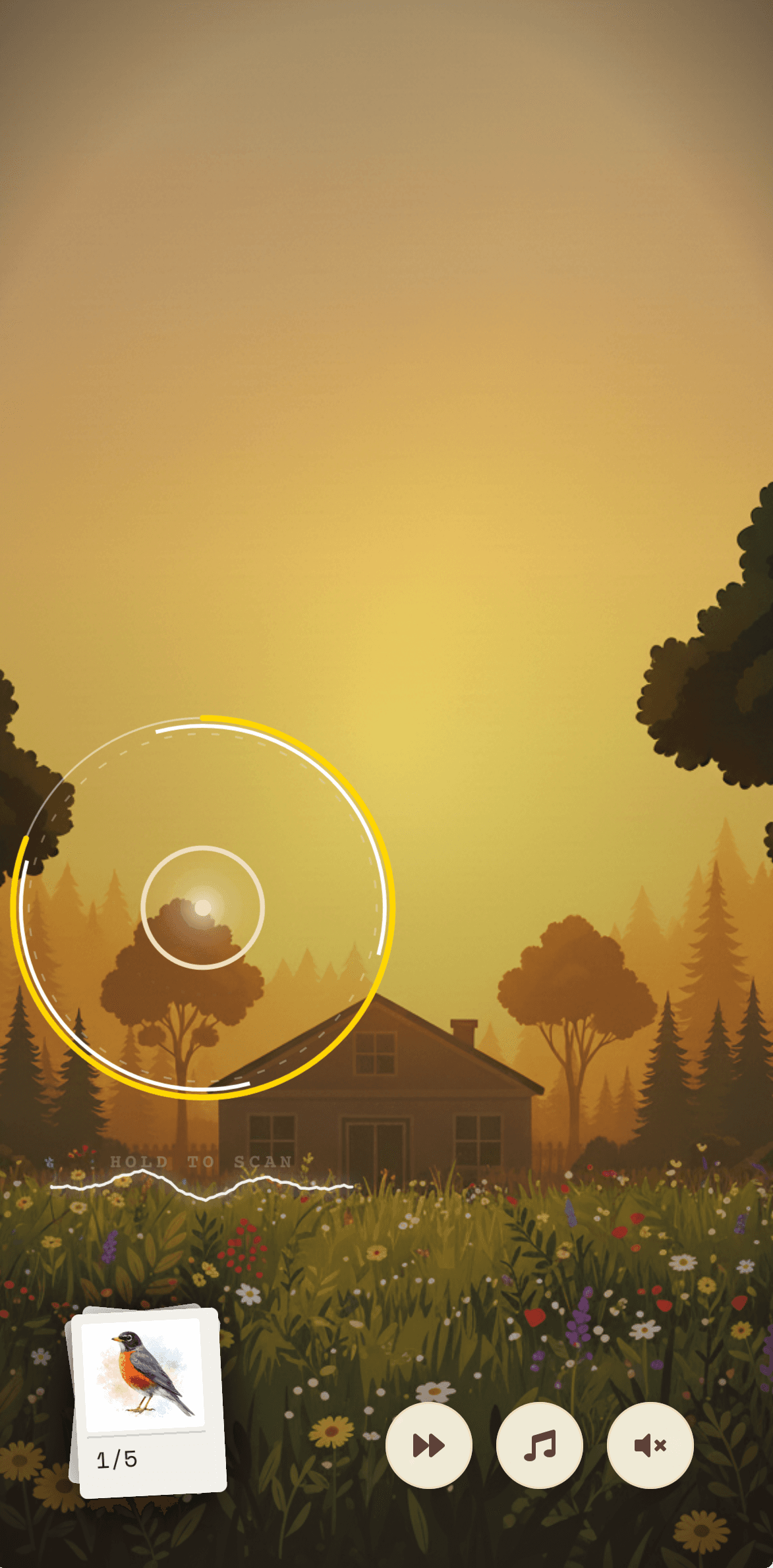 Wings & Whistles immersive lesson: a sunlit farmhouse meadow at the hour the robin sings