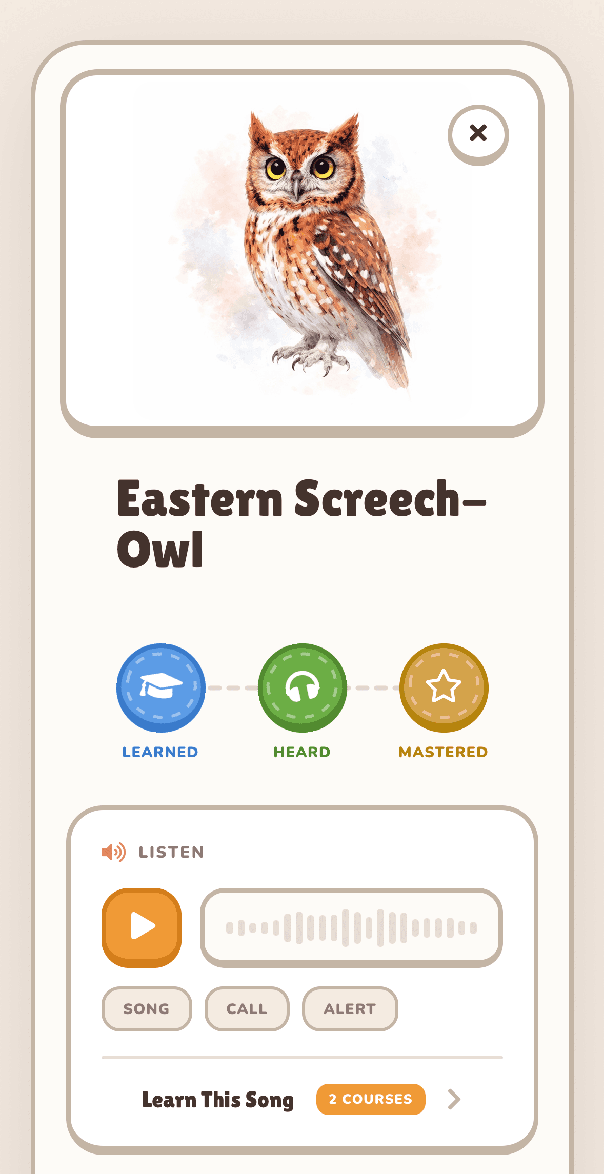 Wings & Whistles bird detail: Eastern Screech-Owl with the LEARNED, HEARD, and MASTERED progression