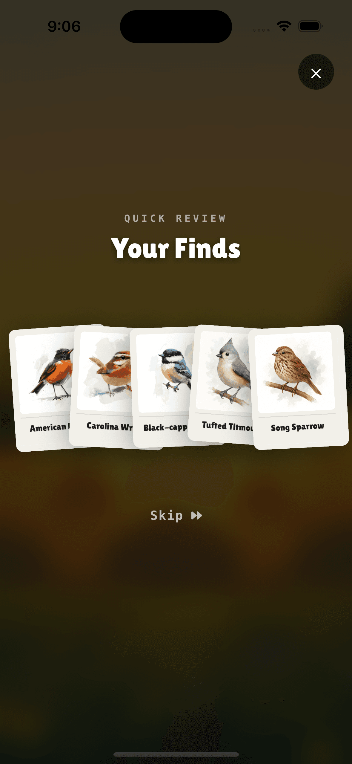 Bird sound quiz in action