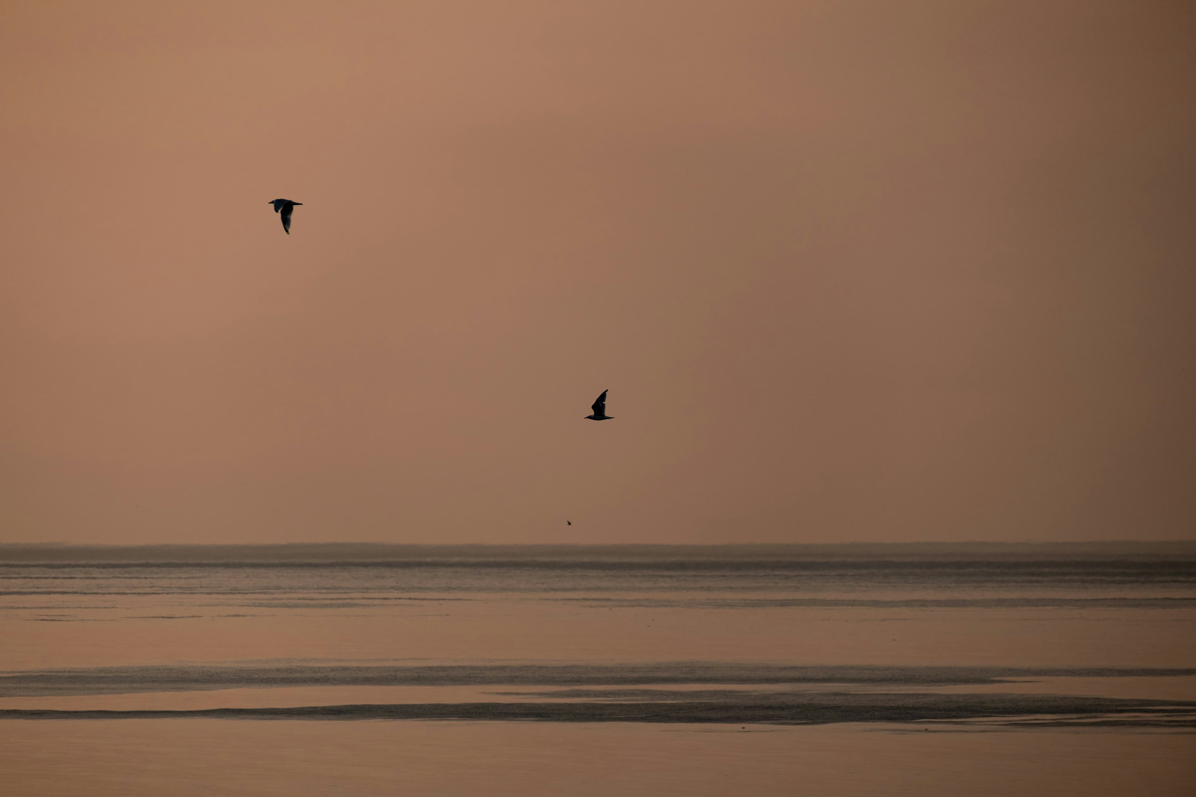 Listening First: A Quieter Earth Day