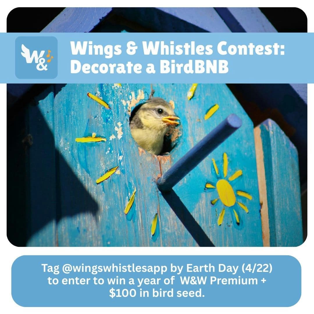 Decorated blue birdhouse with a bird peeking out the entrance hole