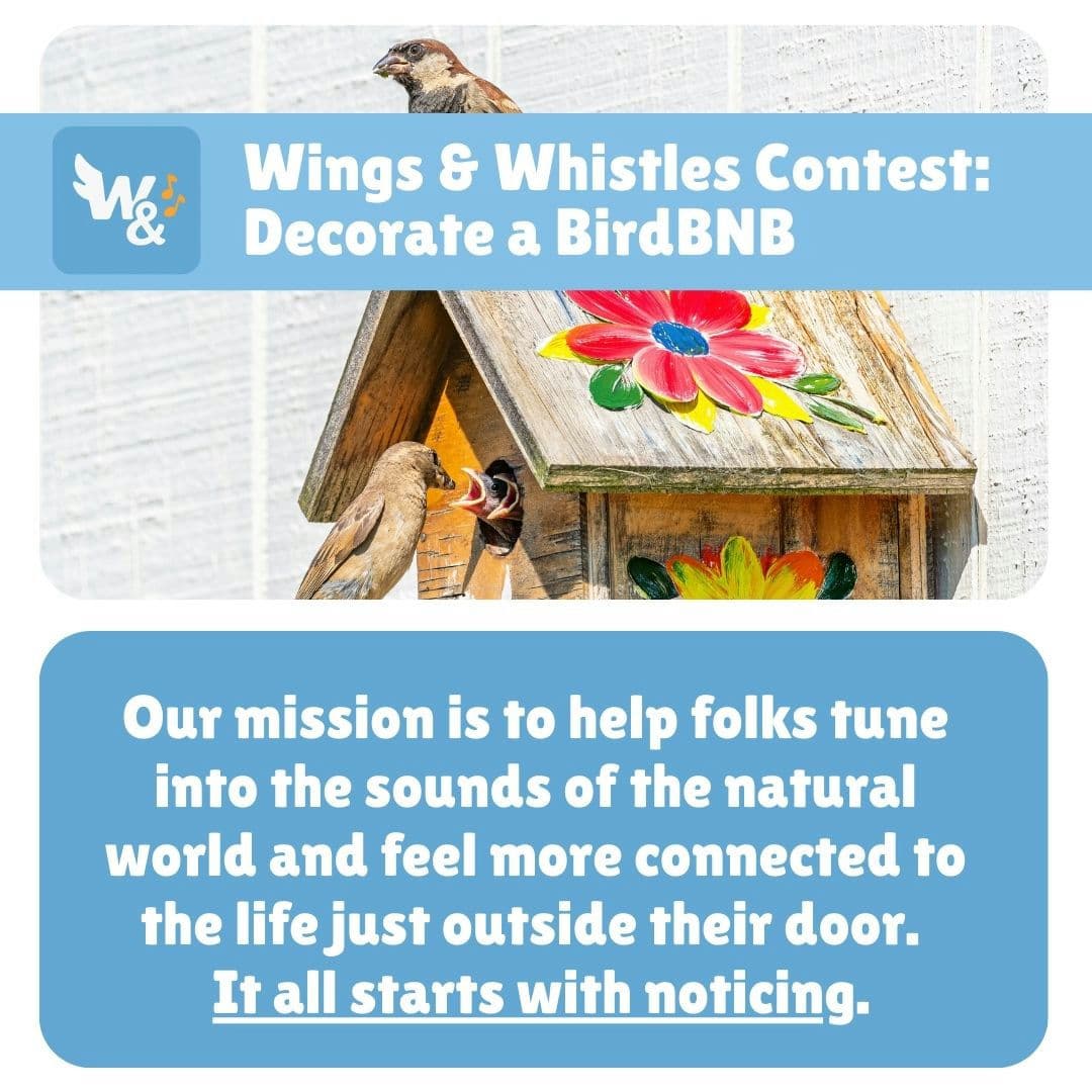 Colorful decorated birdhouse with flower painting and birds visiting