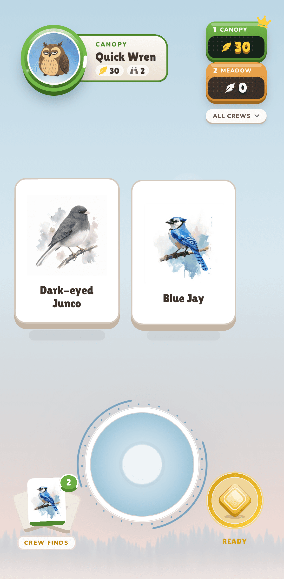 A camper finds real birds and collects cards